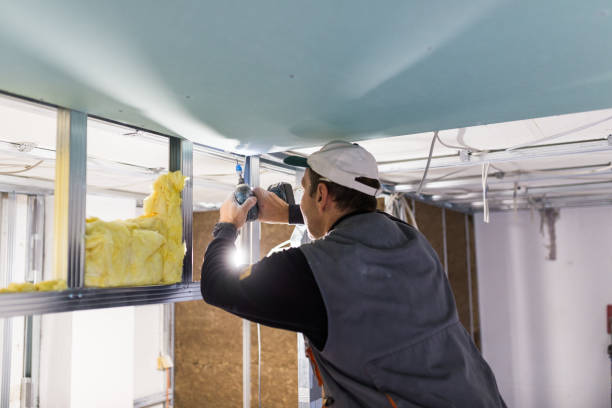 Best DIY Insulation Kits and Guidance in Raeford, NC