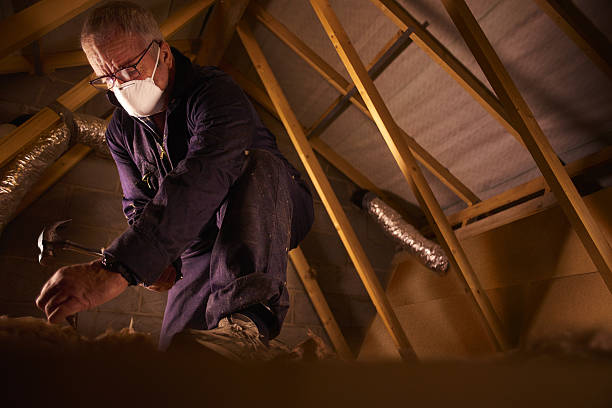 Best Insulation Maintenance and Repair in Raeford, NC